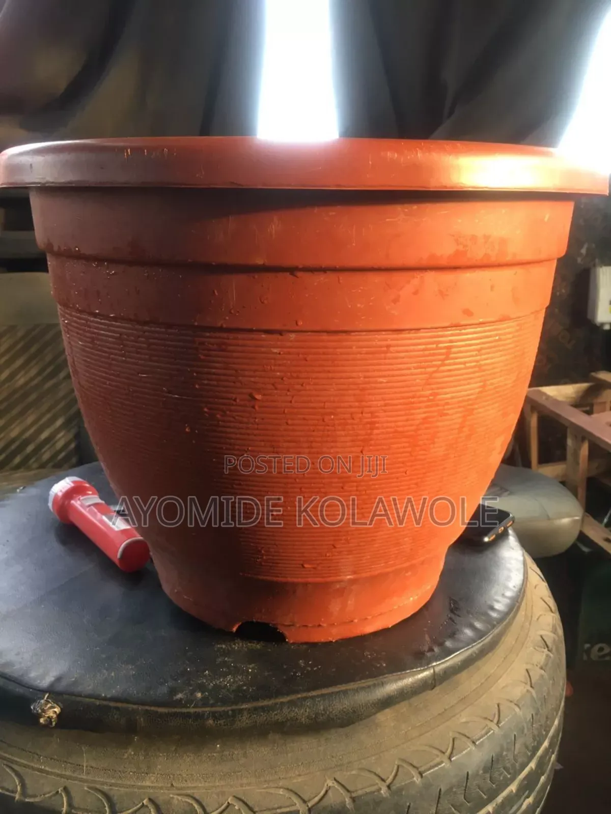 Plastic Pot and Different Flowers