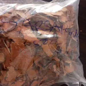 Sarsaparilla Root 100g