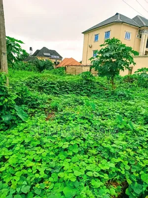 Distress Sale: Huge 5913sqm for Sale at Osongama Estate, Uyo