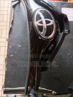 Front Grille With Glass Logo Ch-R 2018