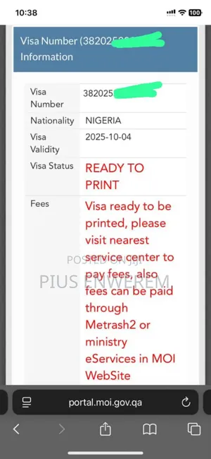 Photo - Qatar 2 Years Freelance Visa (100%)