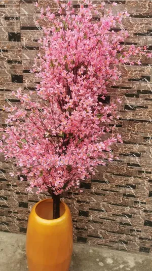 Quality Flower Plants With Quality Pot