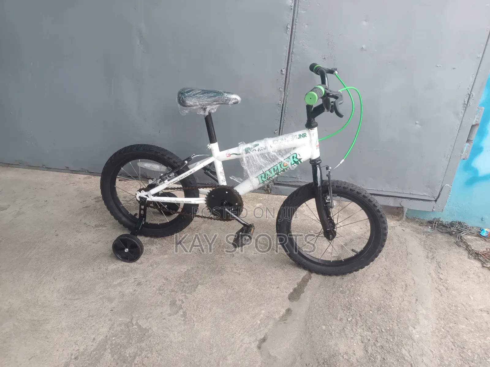 Raptor Children Bicycle