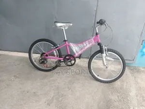 Diamond Back Children Bicycle