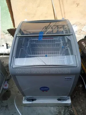 Photo - 160liter Themacool Ice Cream Chiller