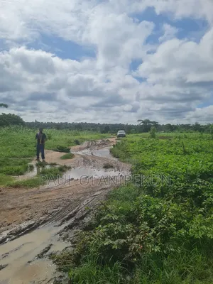 Photo - Selling of 1acres of Land at Lagun Ibadan