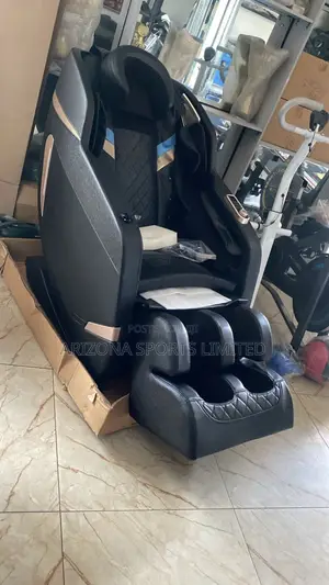 Executive Brand New Massage Chair