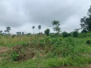 50 Acres of Land Available for Sale at Kobape Obafemi Owode
