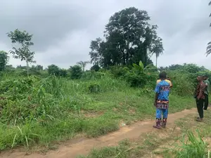 50 Acres of Land Available for Sale at Kobape Obafemi Owode
