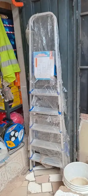 6 Steps a Ladder