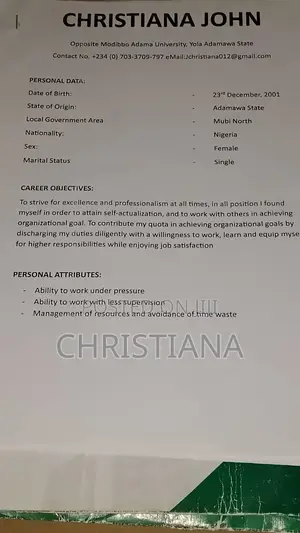 Sales Telemarketing CV