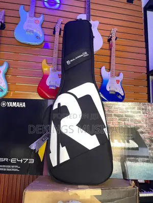 Professional Electric Lead Guitar Bag Case