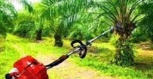 Palm Harvest Machine