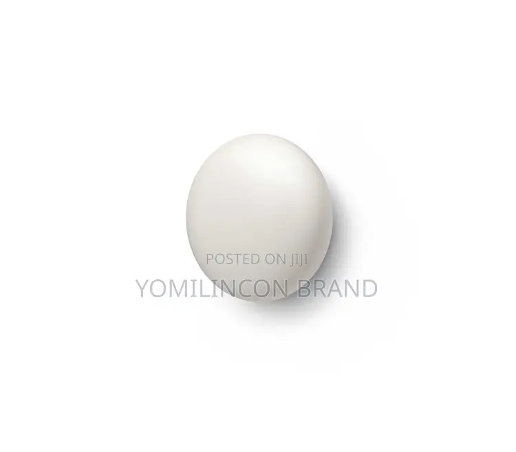 Google Nest Temperature Sensor