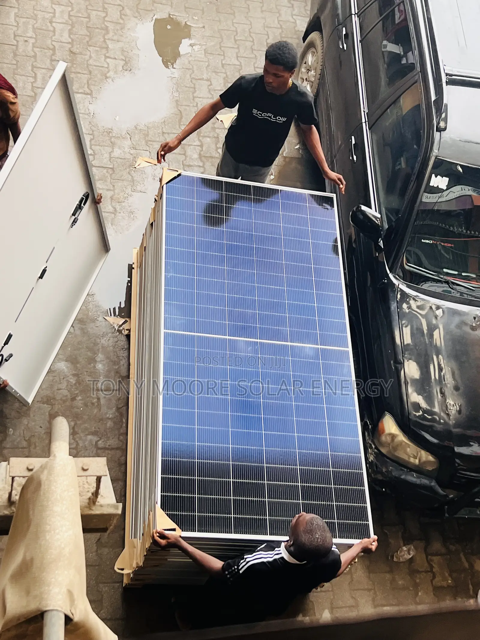 590w Jinko Solar Panel