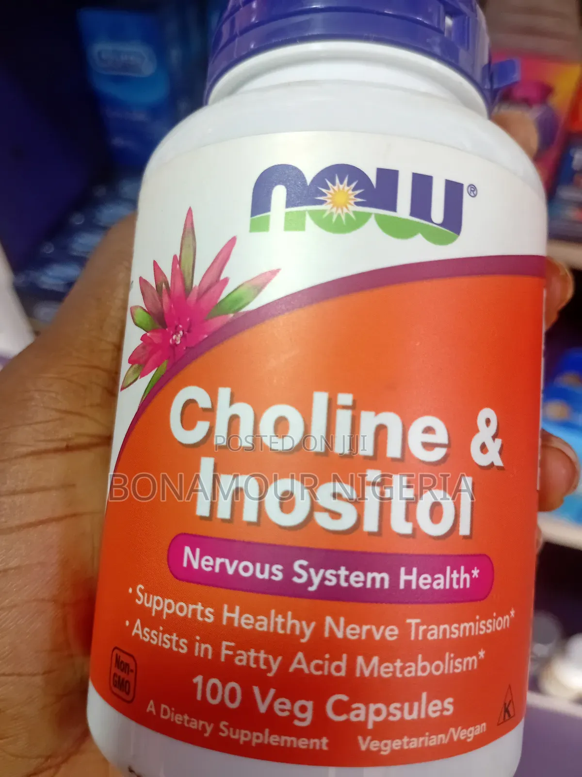 Now Choline Inositol X100 Veg Caps