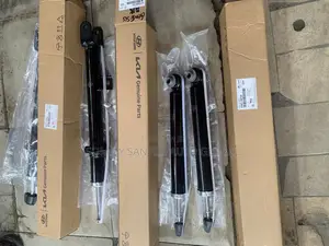Front and Back Shock Absorber Genesis Available