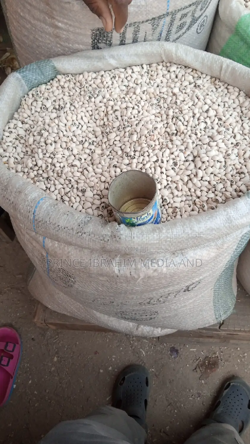 Iron Beans