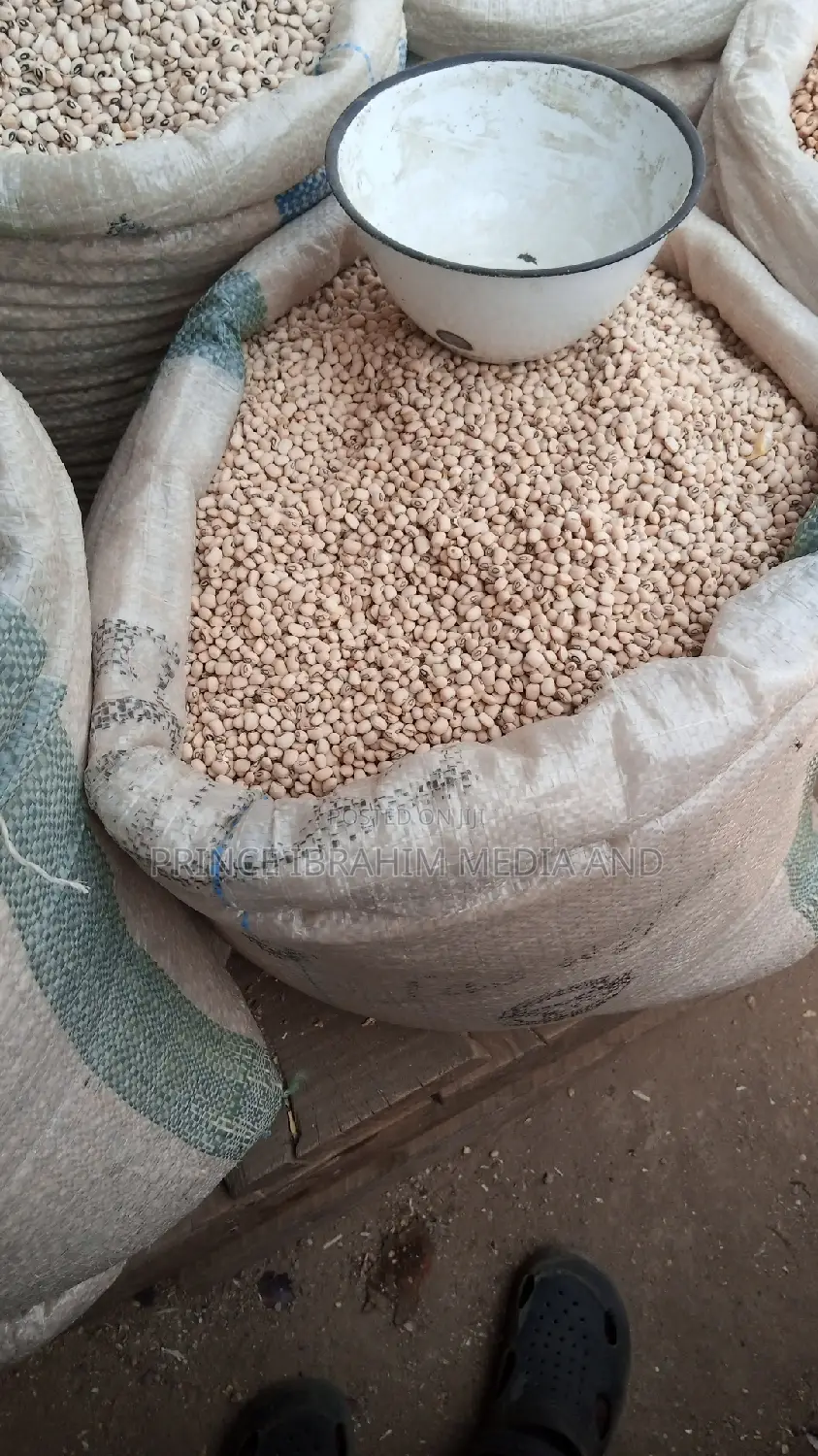 Pataskum Beans