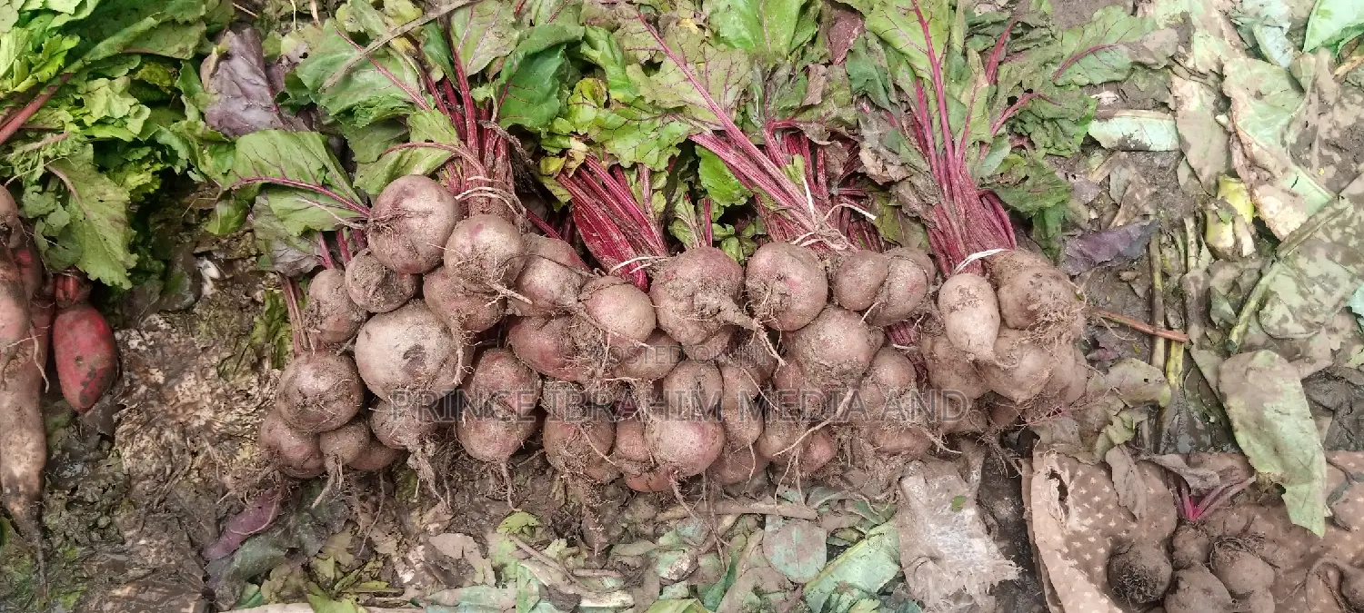 Fresh Beetroot