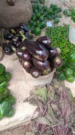 Fresh Eggplant