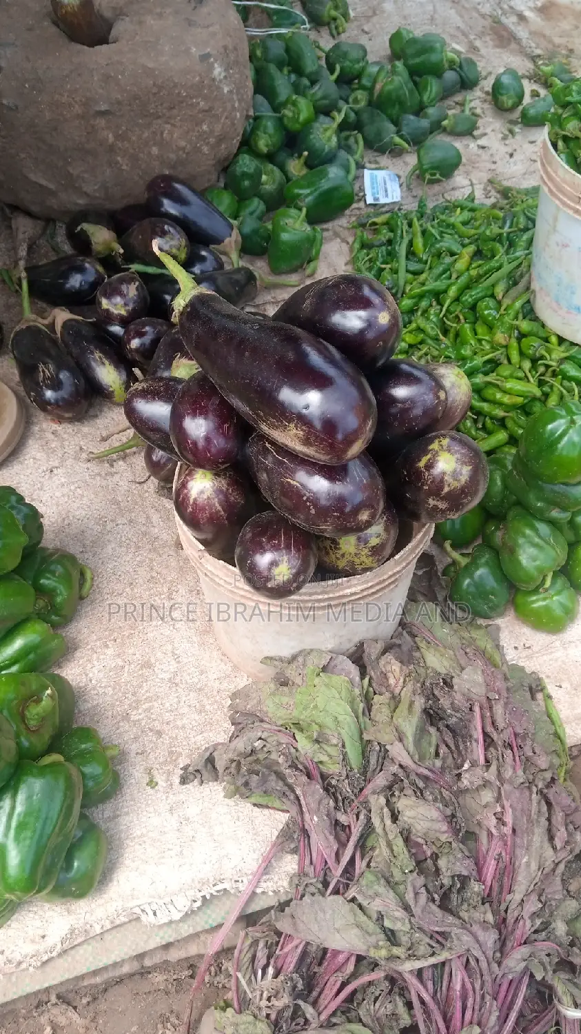 Fresh Eggplant