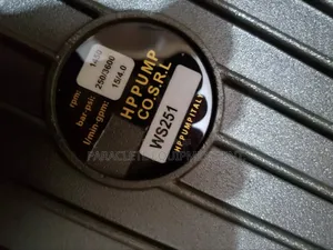 Ws251 Pressure Piston Pump
