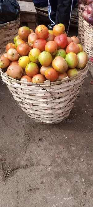 Utc Tomatoes