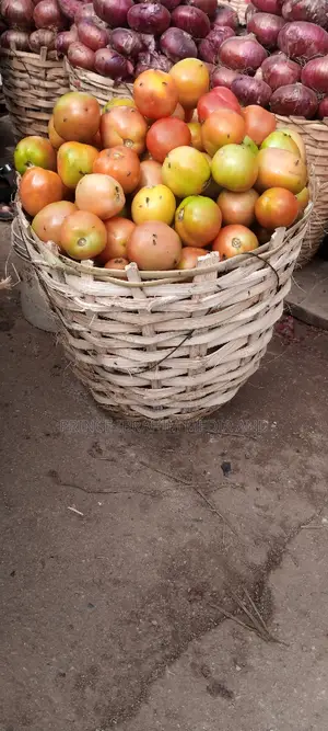Utc Tomatoes