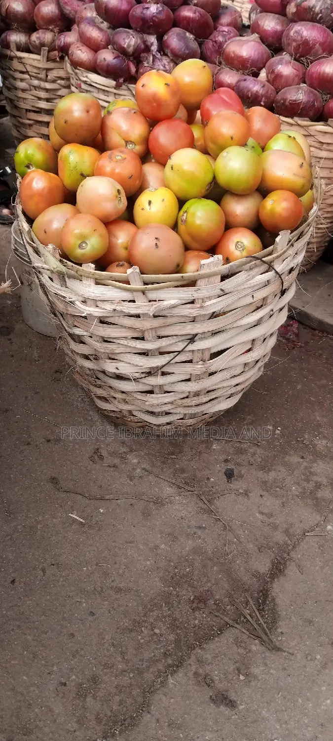 Utc Tomatoes