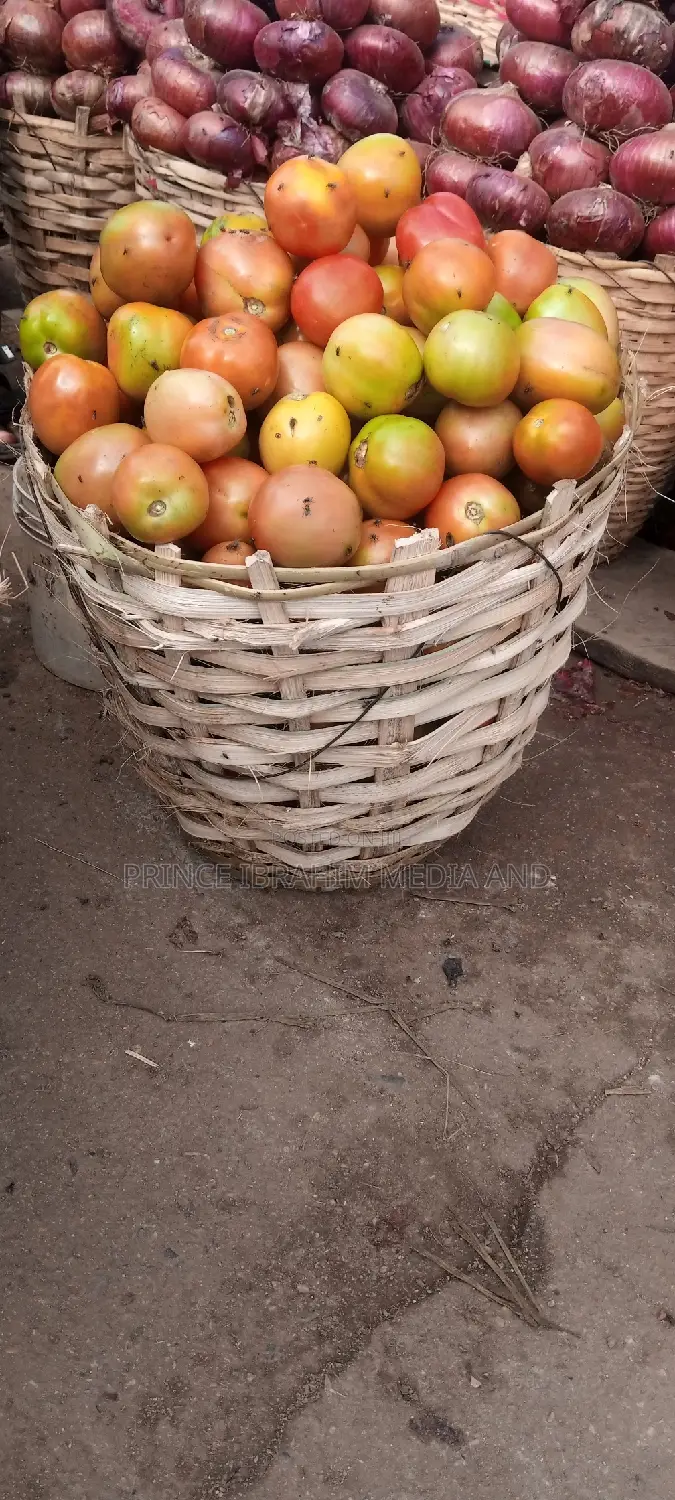 Utc Tomatoes