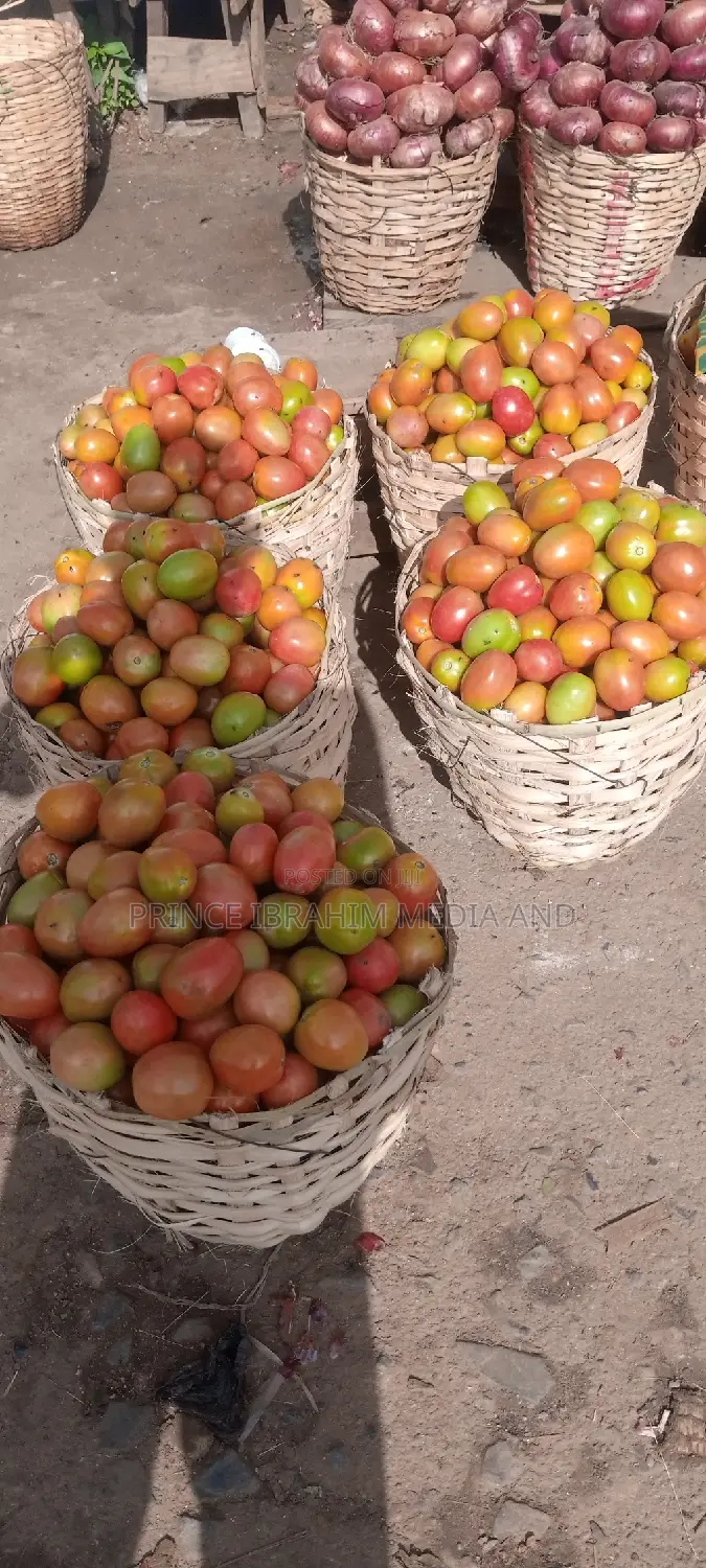 Utc Tomatoes