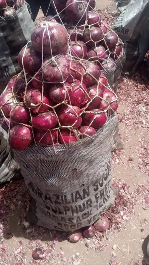 Onion Sugar Bag