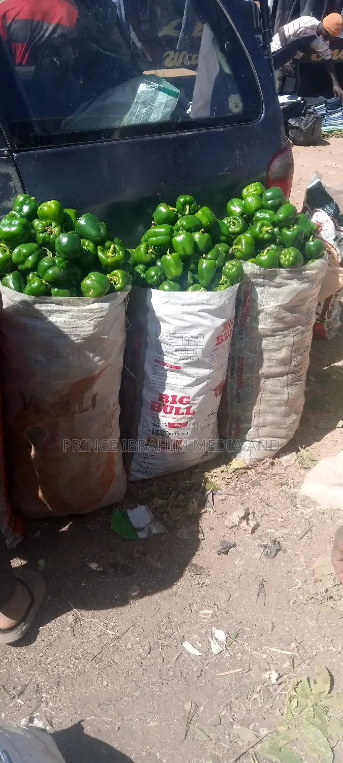 Green Pepper
