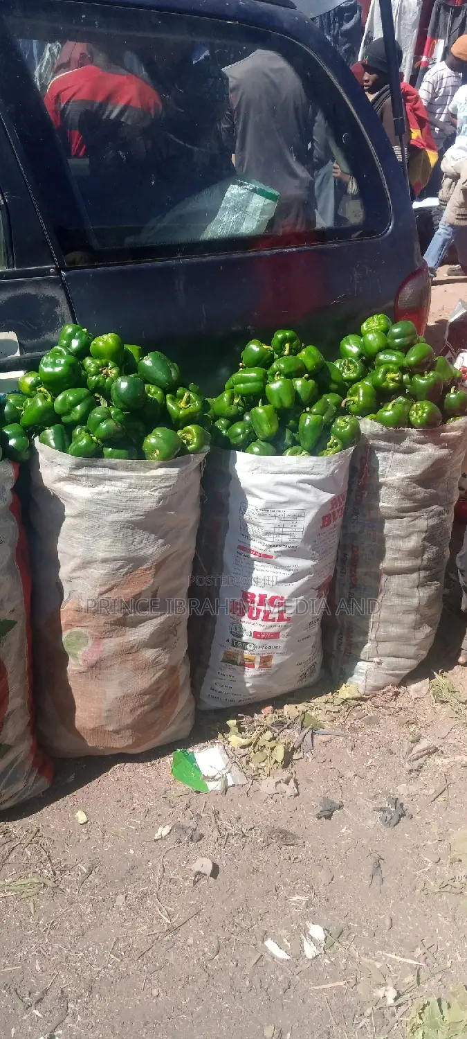 Green Pepper