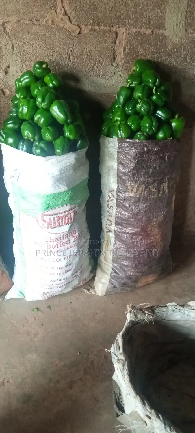 Green Pepper