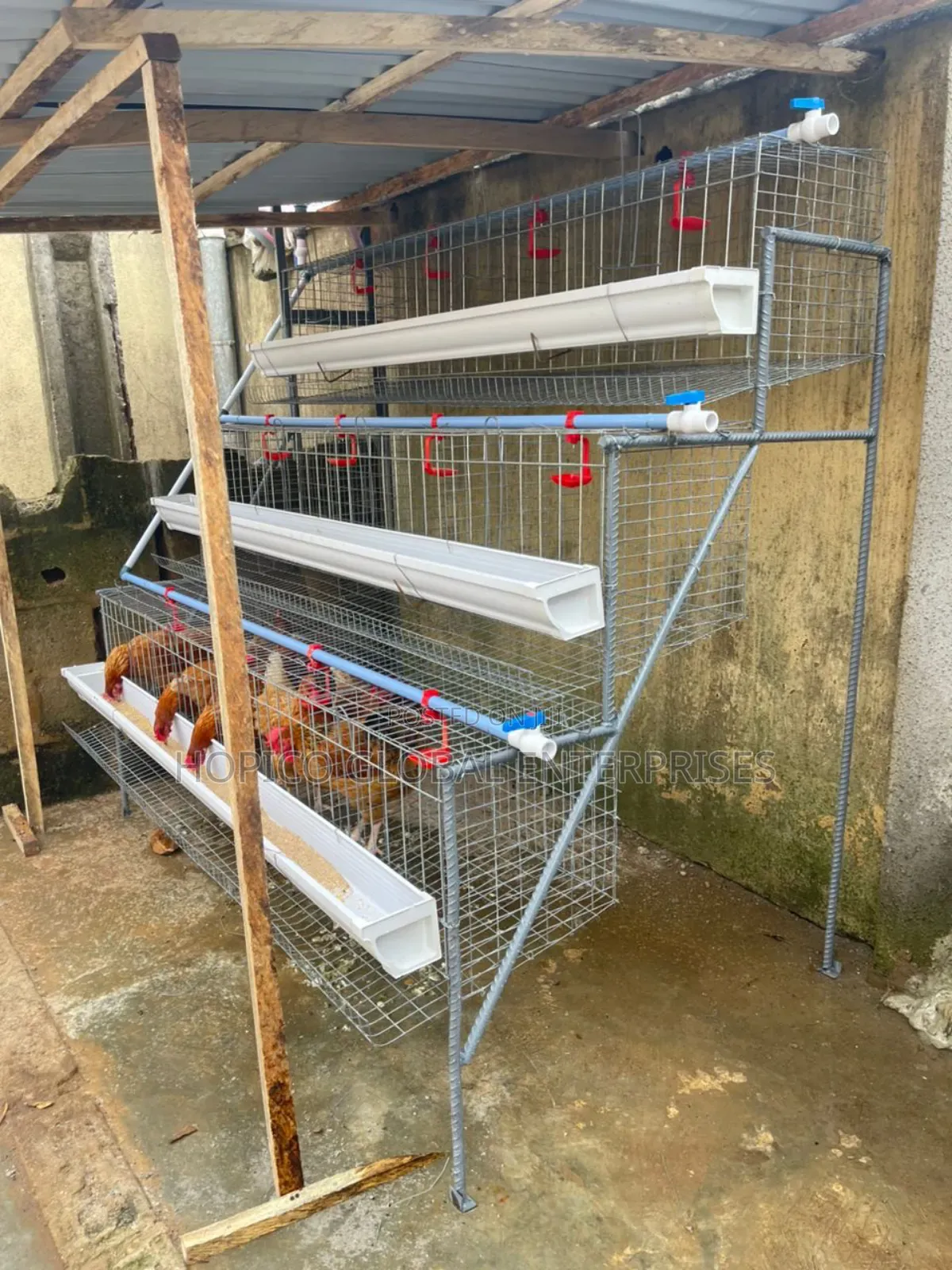 Starter Poultry Cage