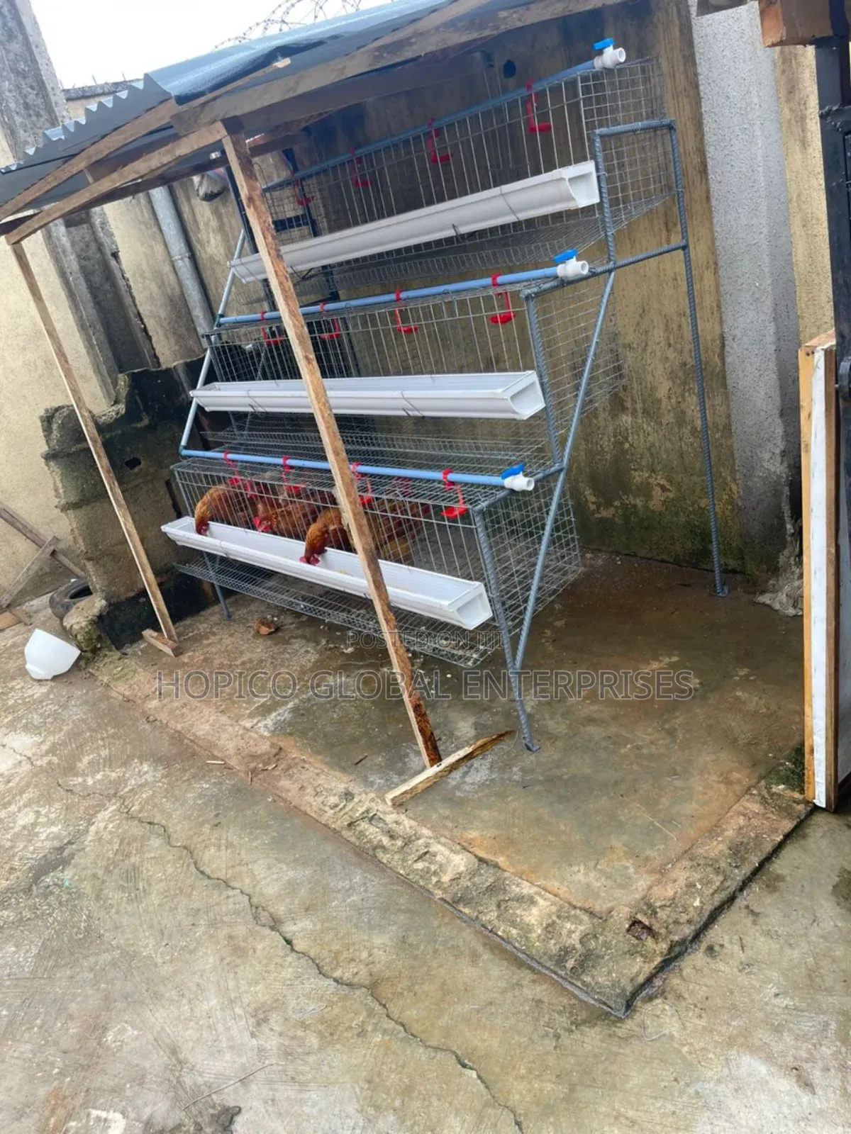 Starter Poultry Cage