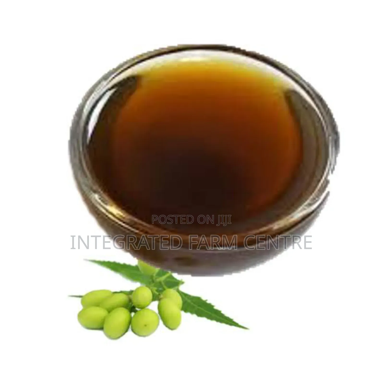 Neem Seed Oil