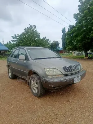 Photo - Lexus RX 300 2003 Brown