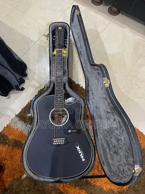 Photo - Vangoa
12
Strings
Semi Acoustic Guitar
Black Vge12-2 + Case
