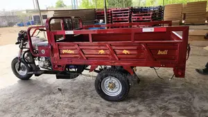 Cargo Tricycle