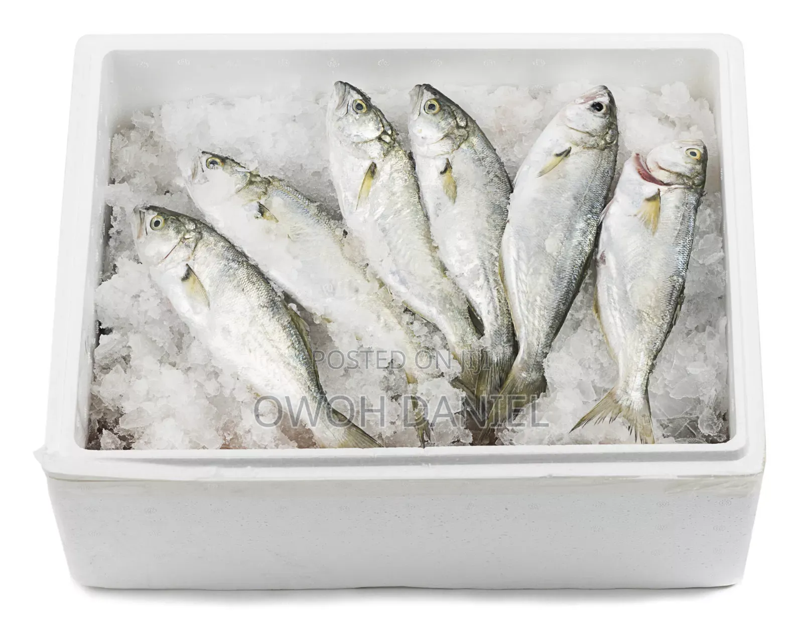 Styrofoam Cooler Boxes