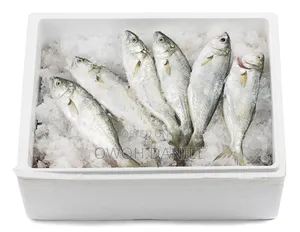 Styrofoam Cooler Boxes
