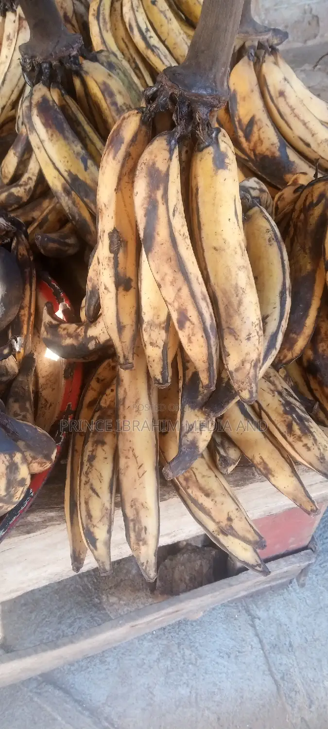 Fresh Plantain