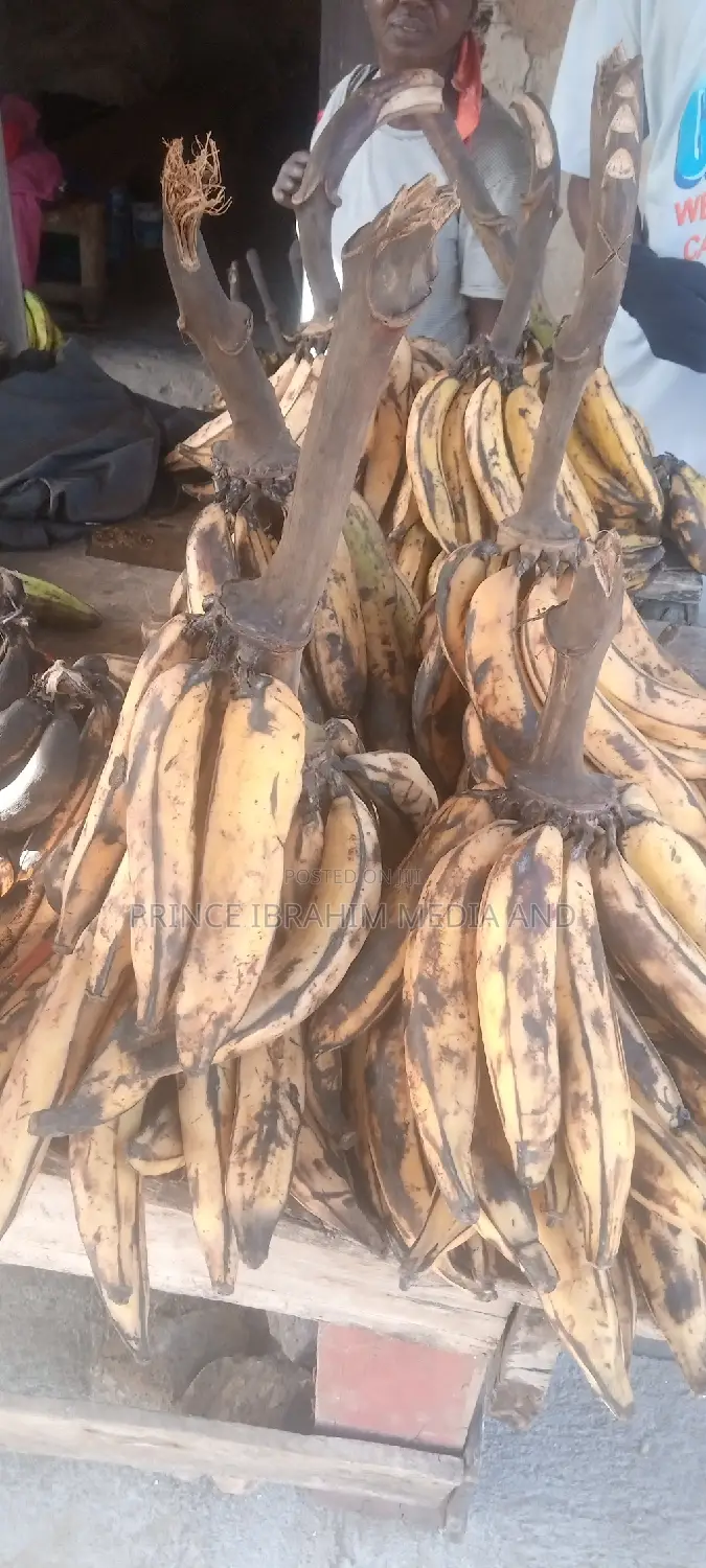 Fresh Plantain