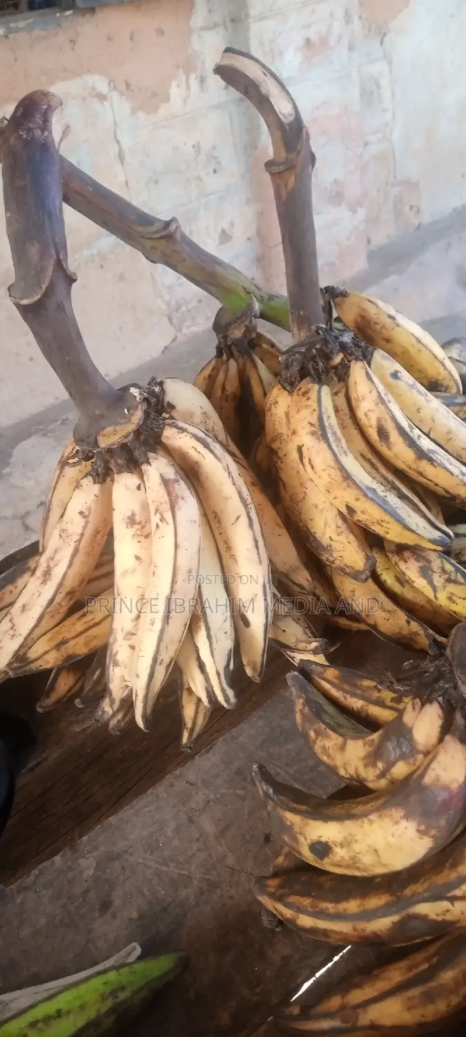 Fresh Plantain