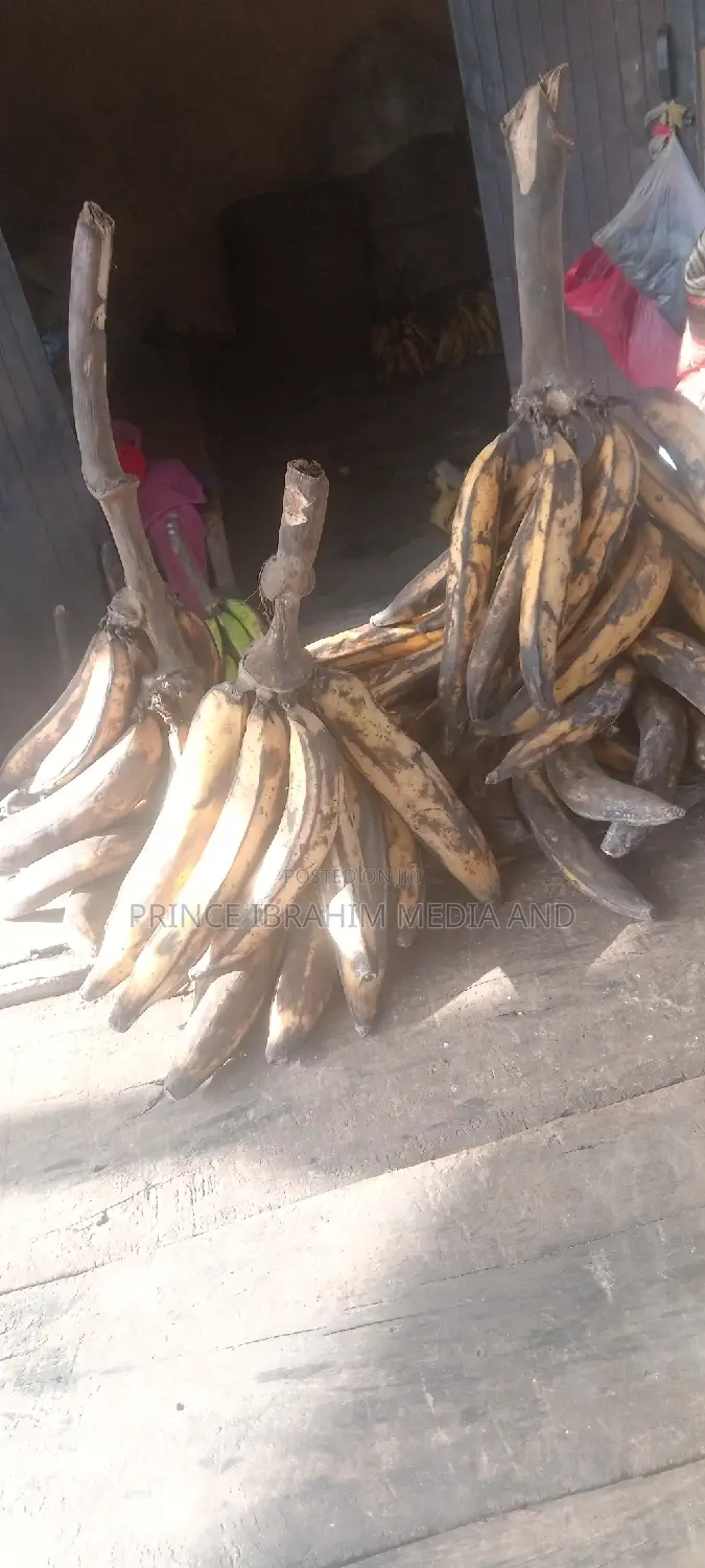 Fresh Plantain