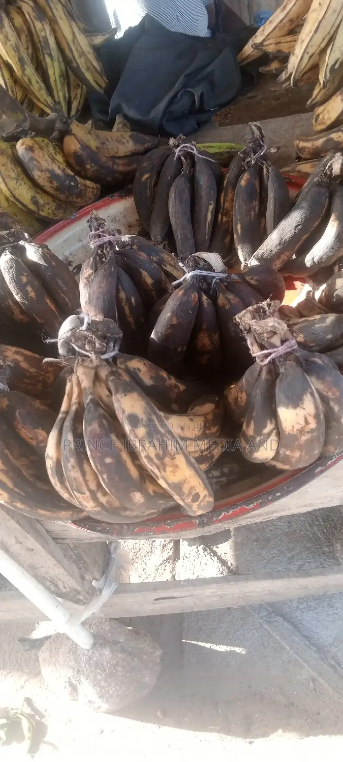 Fresh Plantain