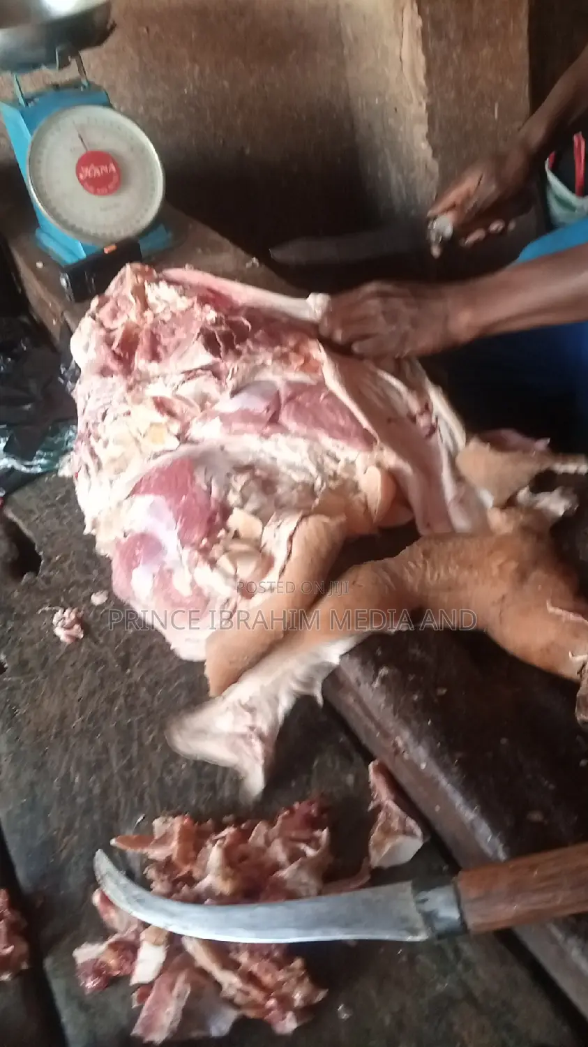 Cow Head, Leg, and Tail